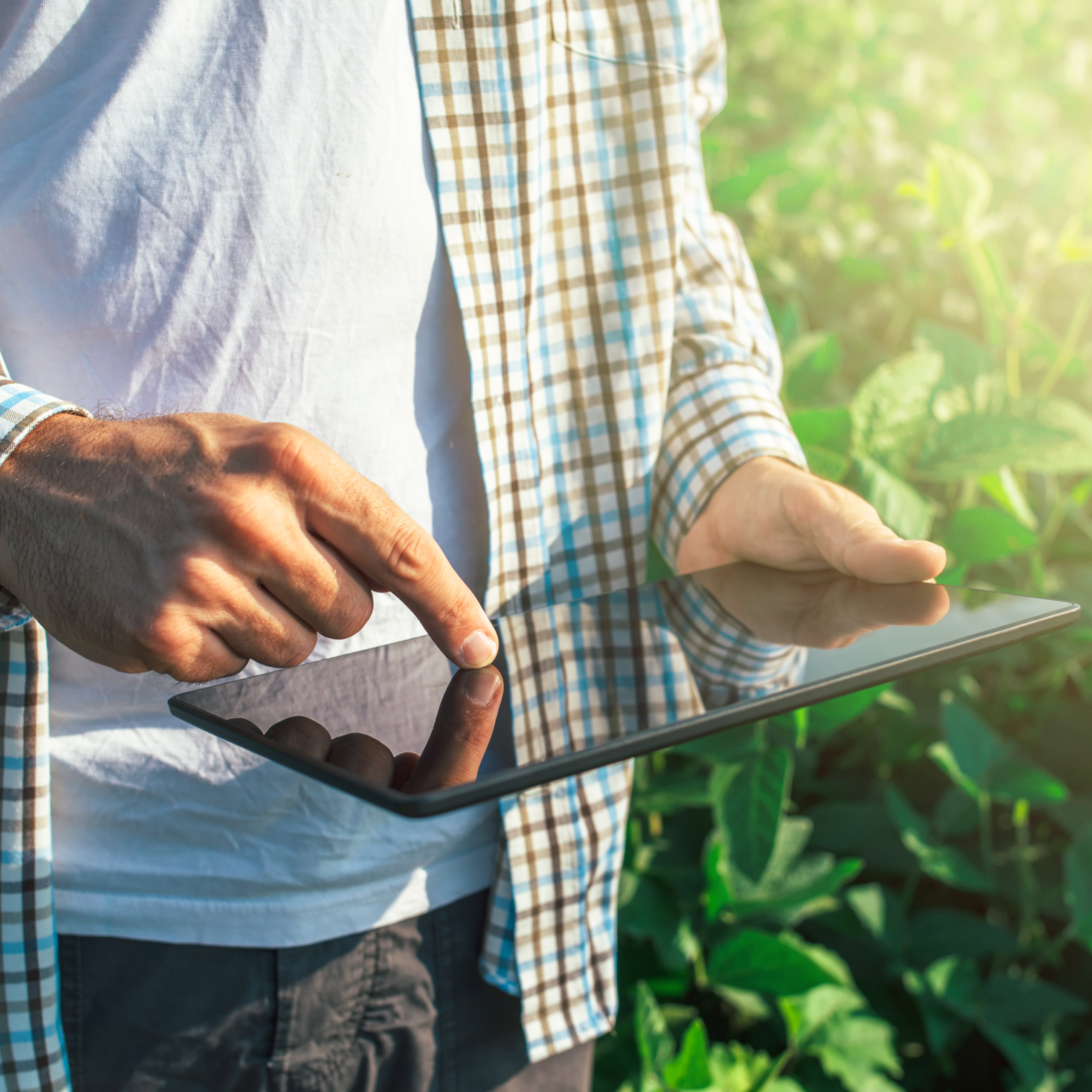 farmer holding tablet